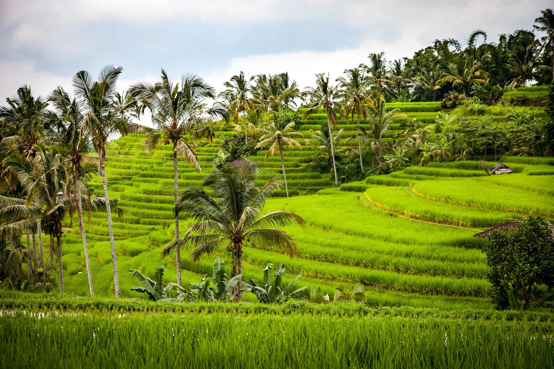 Bali Honeymoon 10 Day Itinerary with Jungle and Beach Views