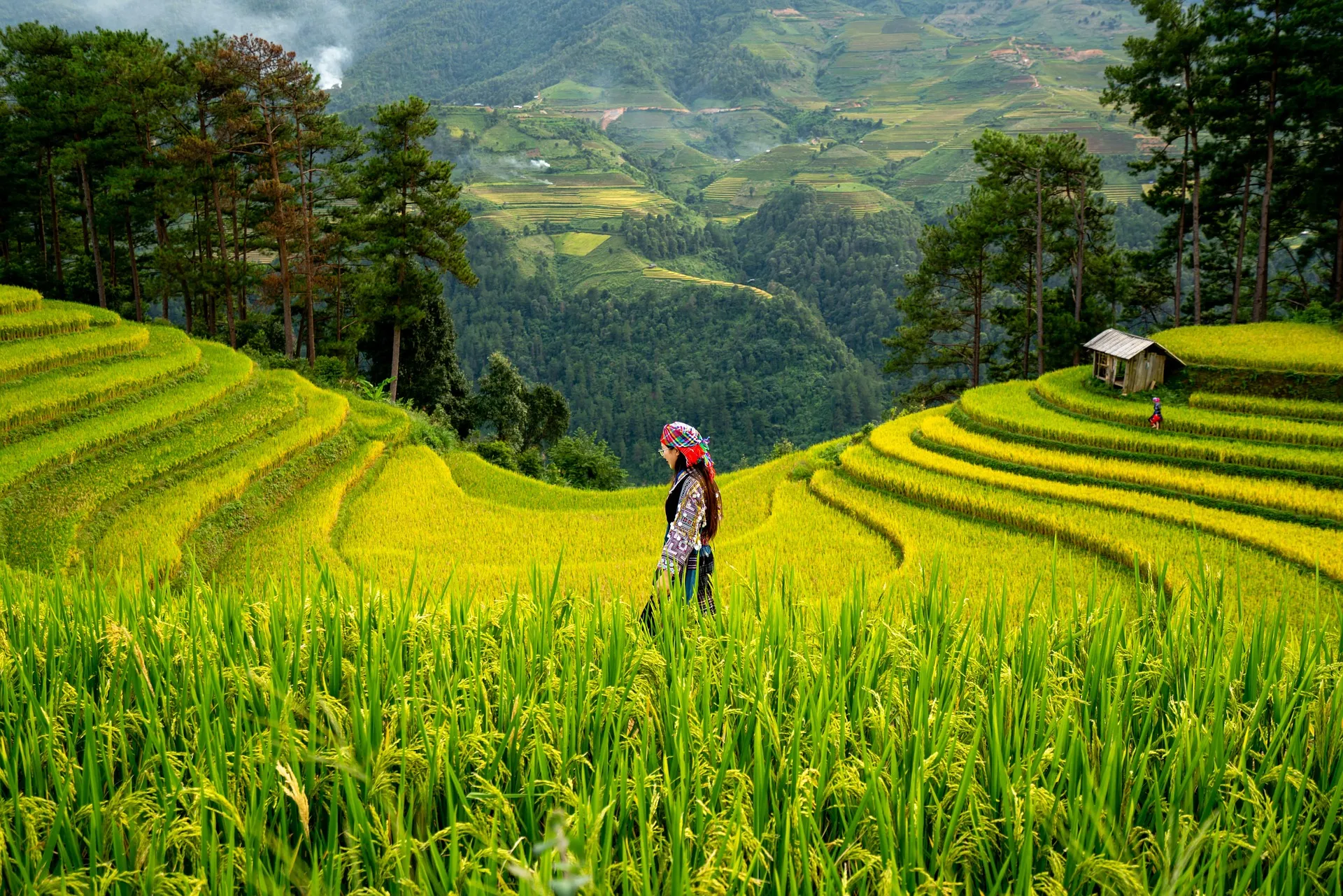 Romantic Bali Honeymoon Photoshoot at Rice Terraces and Temple
